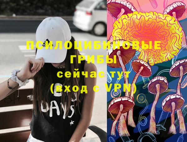 прущая мука Лабытнанги